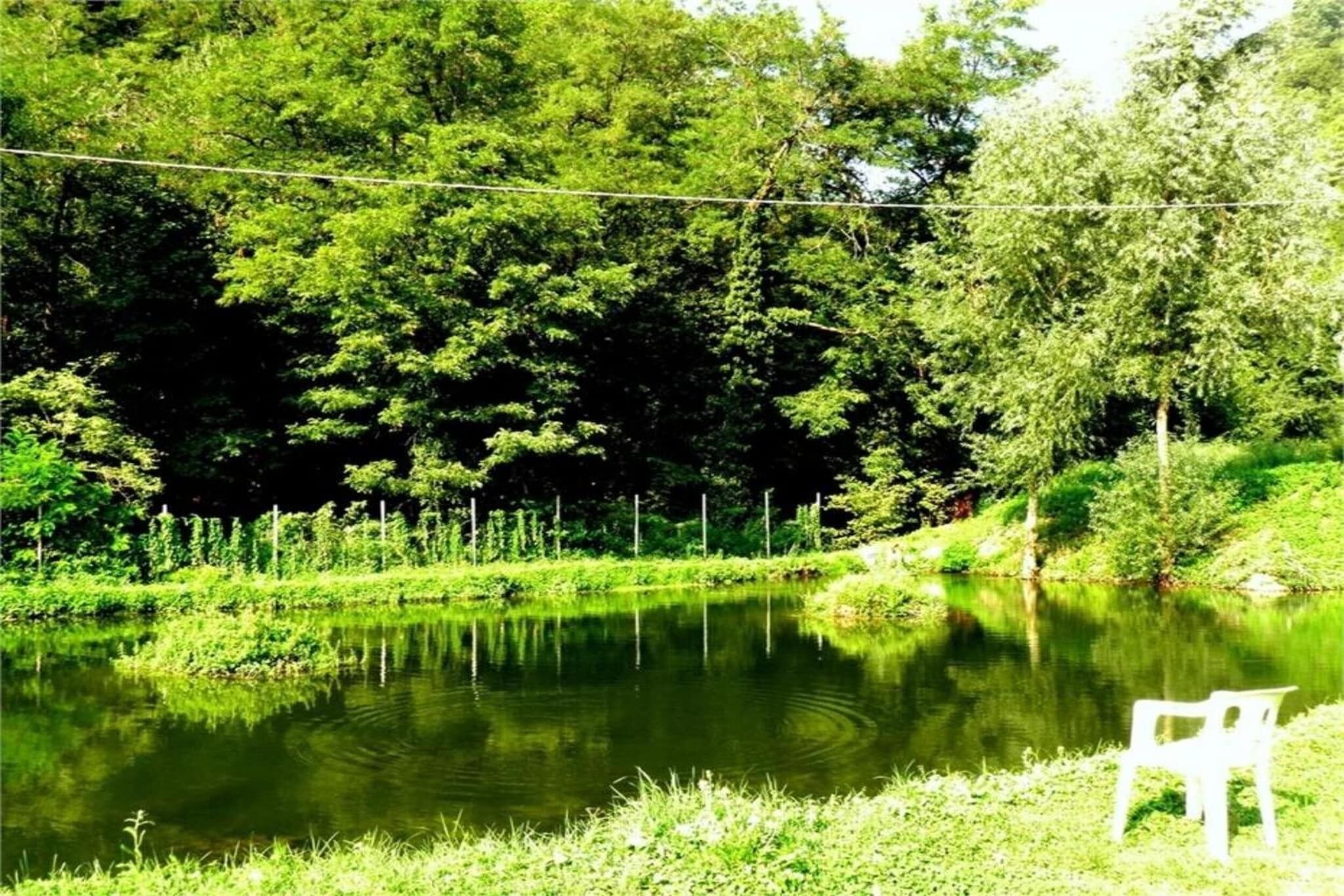Ein friedlicher Teich mit einer Bank, umgeben von üppigem Grün und Bäumen.