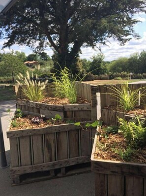 Enceinte de l’hébergement