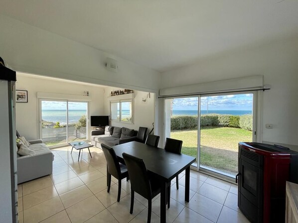 电视、DVD 播放器、书、影片库