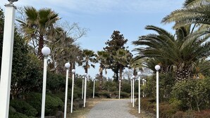 A gravel pathway flanked by white lamp posts and palm trees, leading through a landscaped garden. - Betta's Homestay (Jeju City)