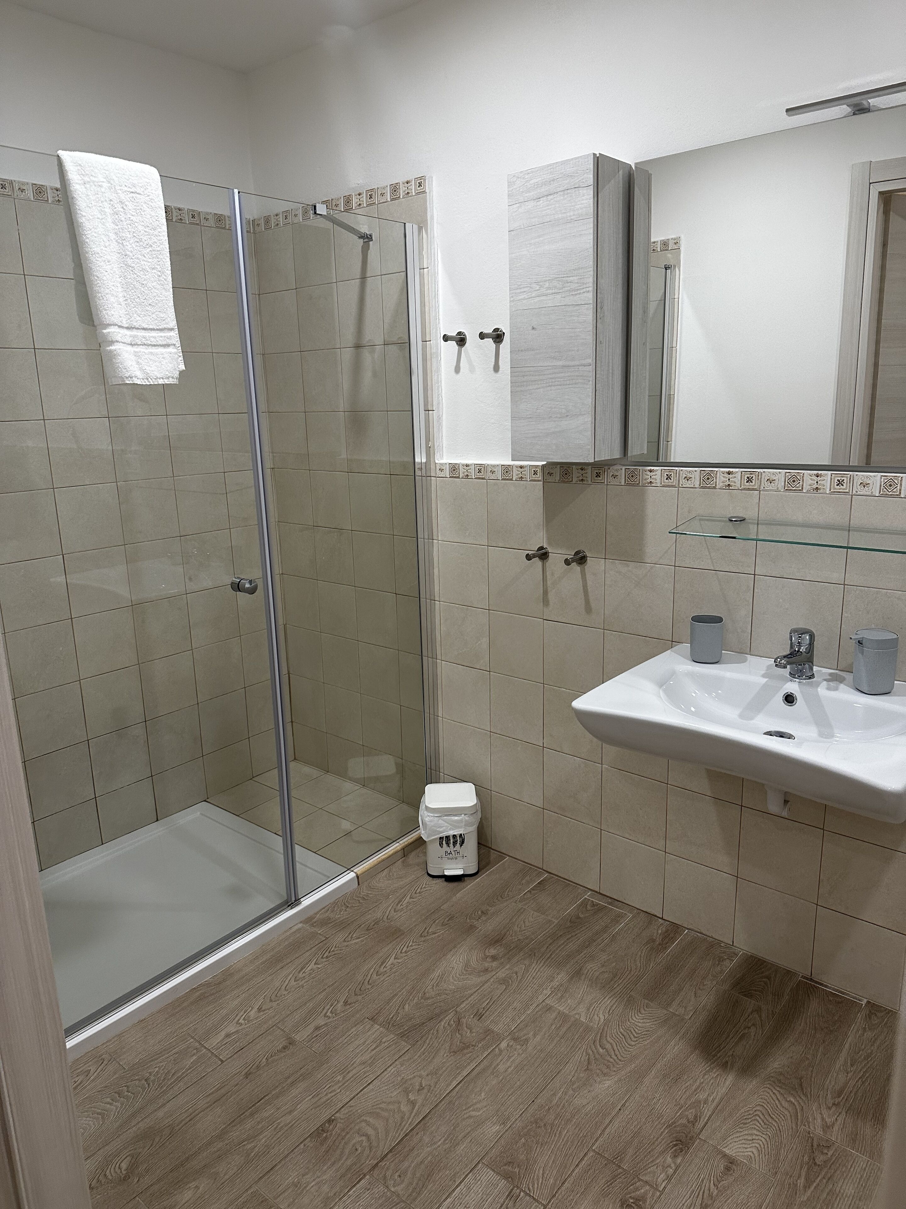 A bathroom with a glass shower enclosure, a white sink, and a mirror above the sink.