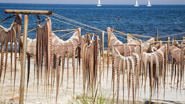 A beach with octopus tentacles drying on a rack, boats in the background, and a clear sky. - Apartment Sol de Denia. Wifi, A/C (Dénia)
