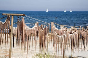 Une plage où des tentacules de poulpe sont étalées pour sécher sur un étendoir, avec des bateaux en arrière-plan et un ciel dégagé.