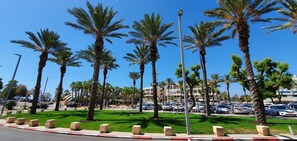 A parking lot with palm trees and a building in the background.