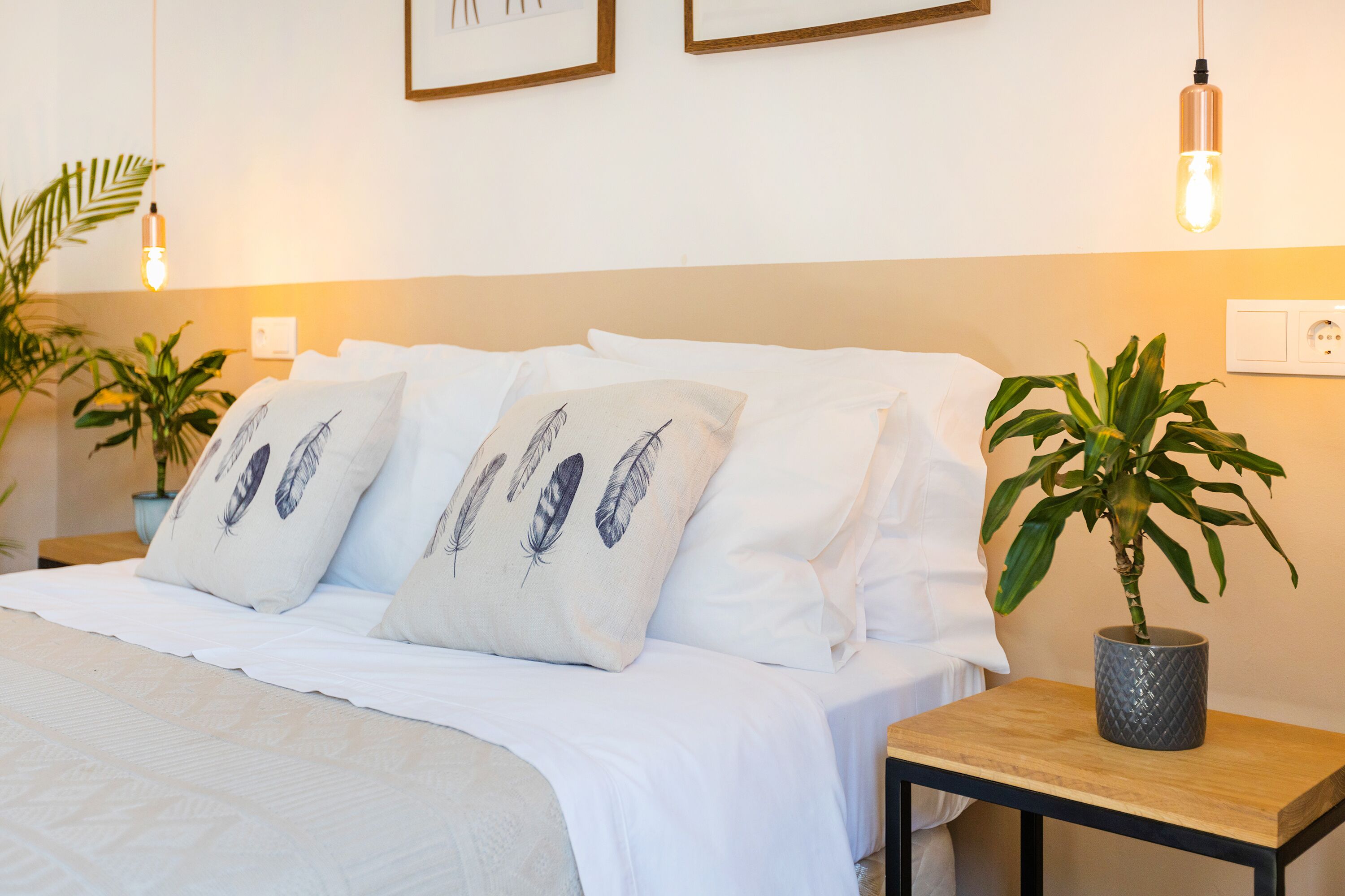 Photo - Luso Guest House