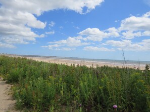 Playa