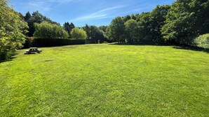 A well-maintained grassy lawn with a picnic table and a lawnmower.