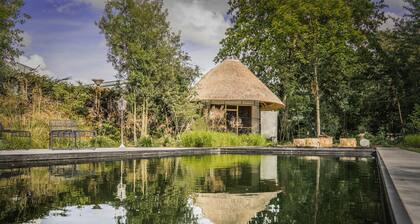 EDVILLE HOME GHENT