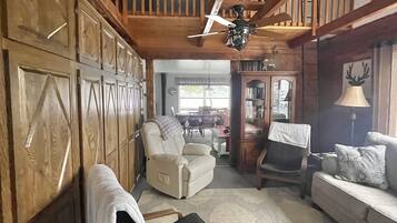 TV connectée, cheminée, lecteur de DVD, livres