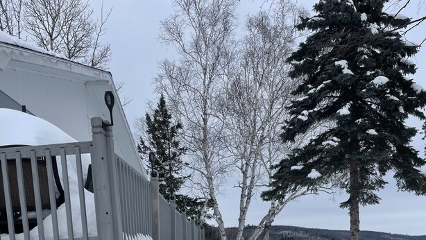 A snow-covered pathway leading to a building with a wooden deck and metal railing. - Private Lakefront Cabin (Eagle Lake)
