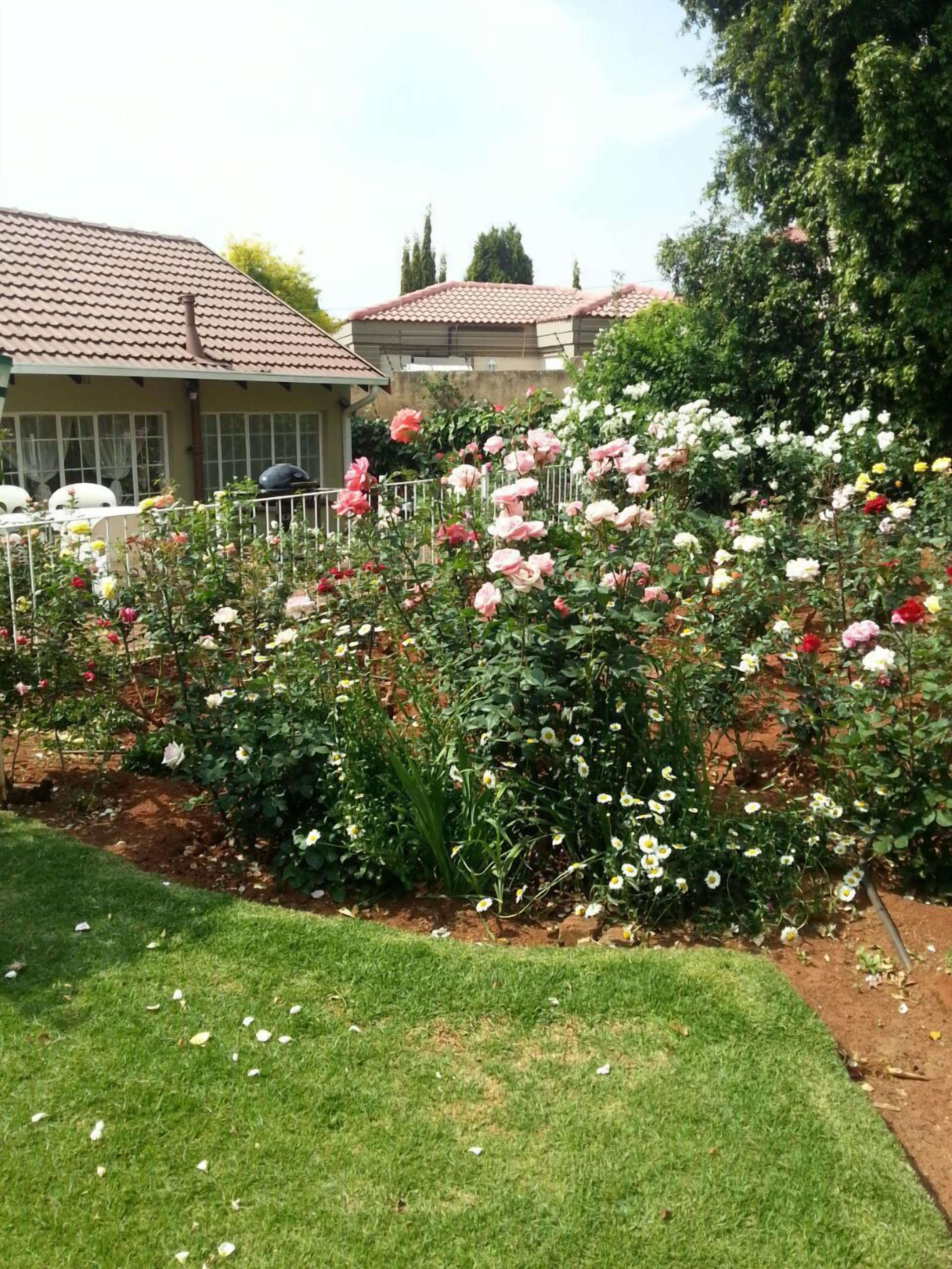 A garden with various flowering plants and a lawn.