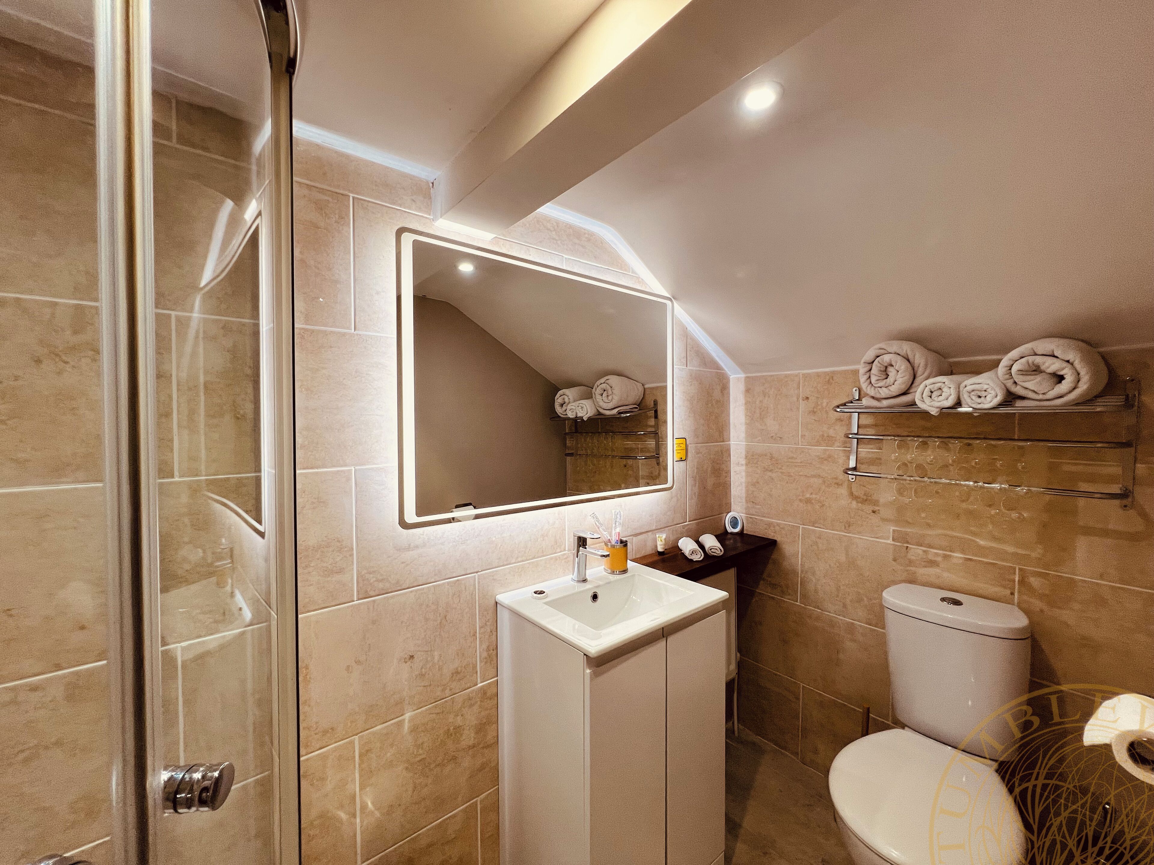 A modern bathroom with a glass shower enclosure, a white sink, a toilet, and a mirror with a towel rack above it.