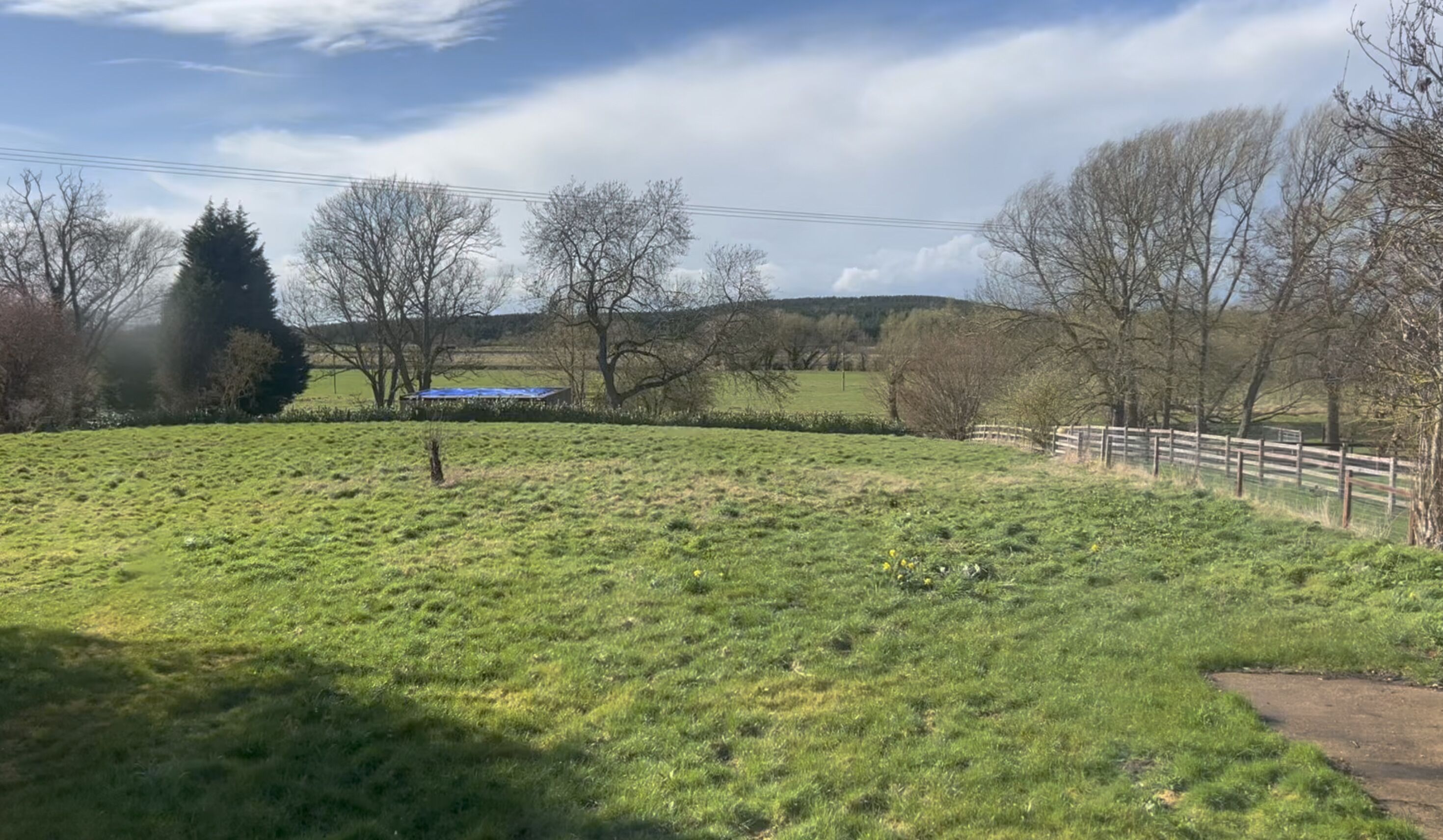 A grassy field with a wooden fence and trees in the background.
