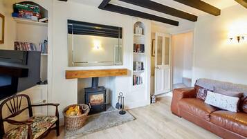 TV, fireplace, DVD player