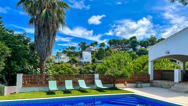 A swimming pool with a geometric tile pattern, surrounded by a well-maintained lawn and a wooden fence.