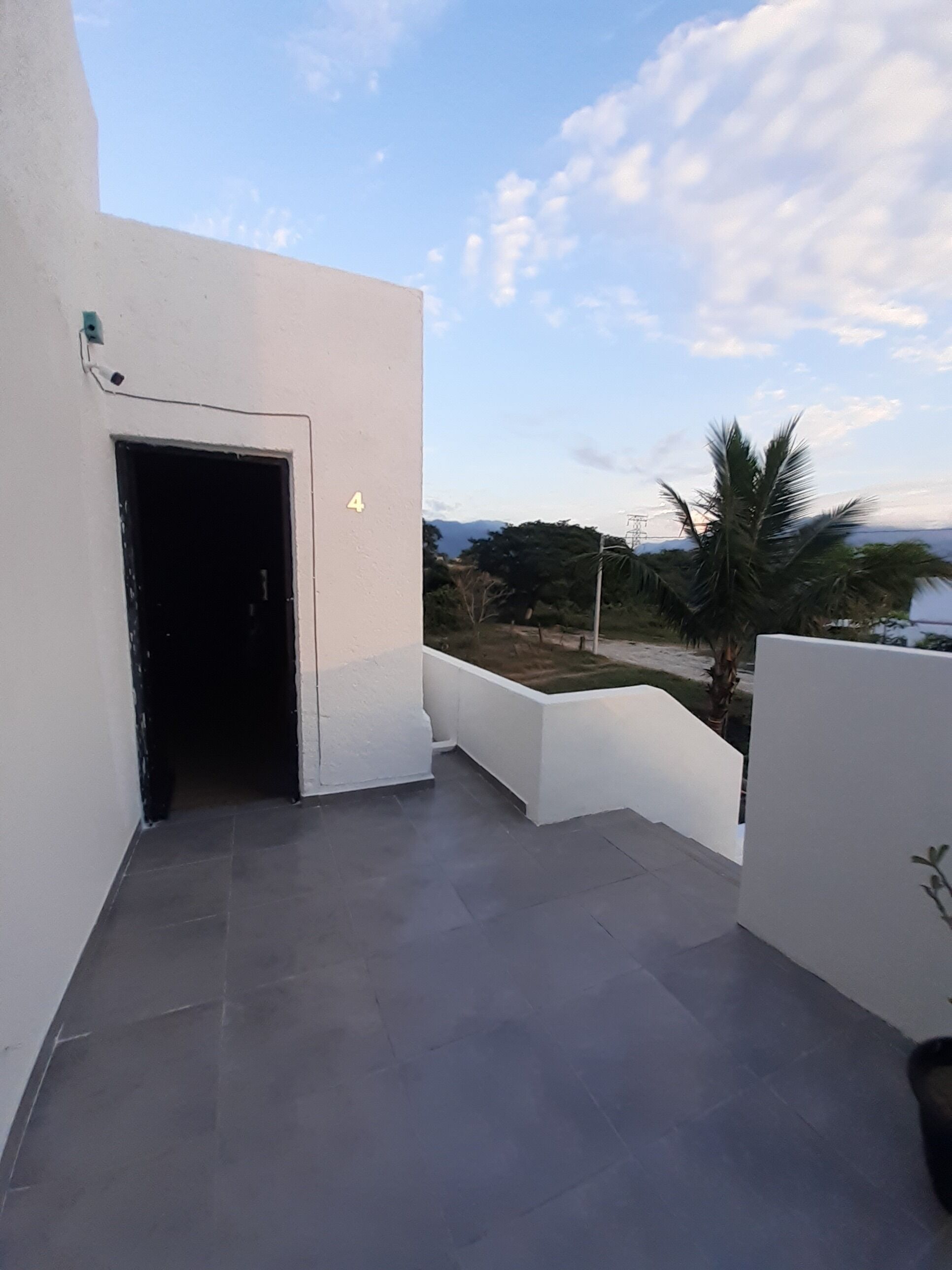A balcony with a view of palm trees and mountains.