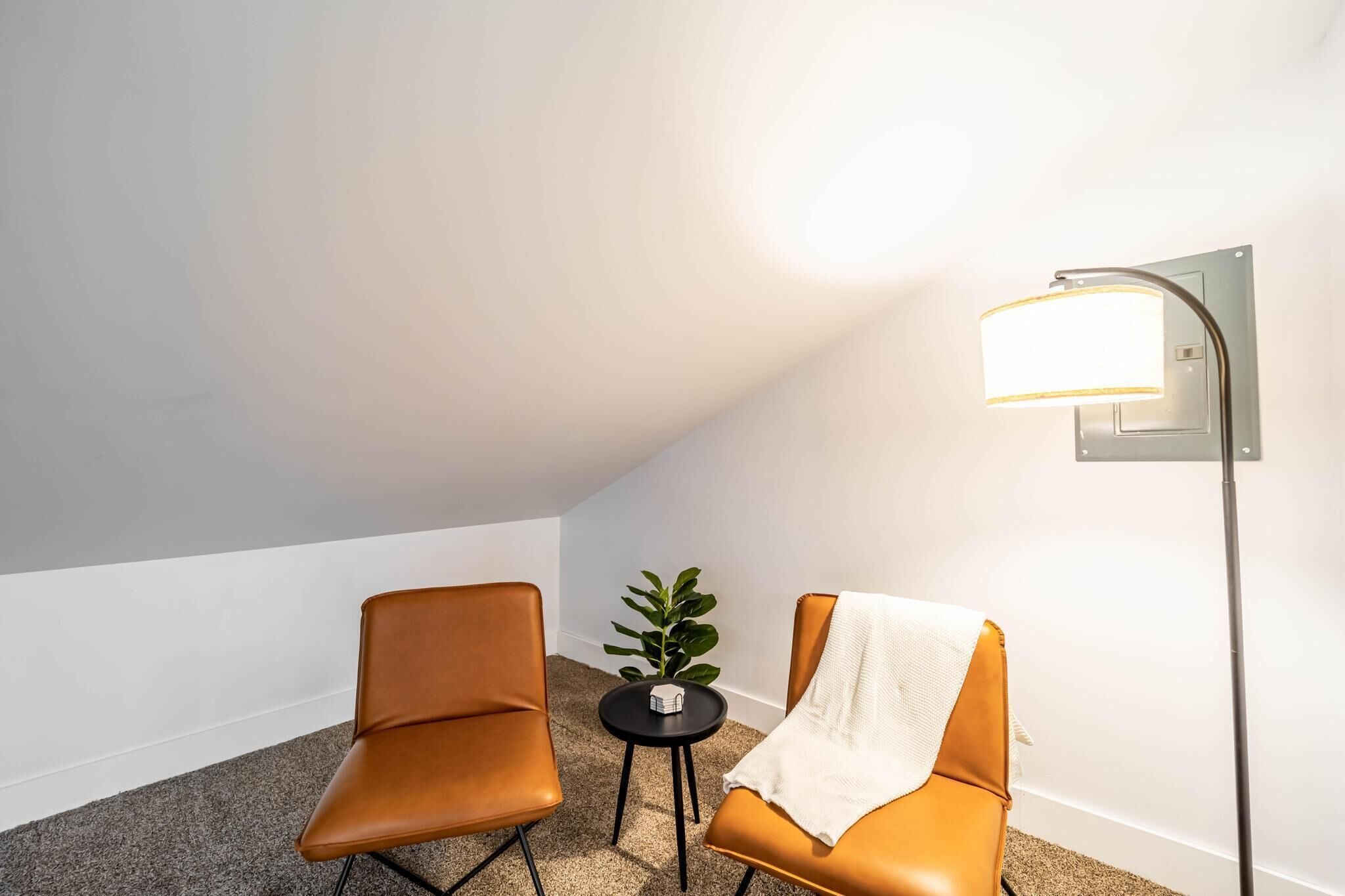 A small, cozy room with two leather chairs, a small round table, a potted plant, and a floor lamp.