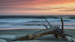Plage à proximité, chaises longues
