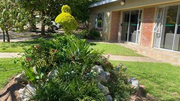 Detalle del exterior