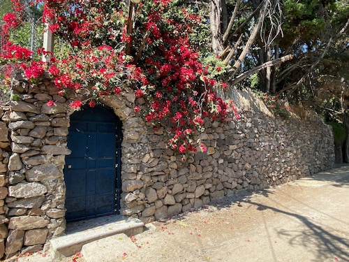 Magnolias Jardin & Boutique Suites