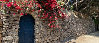 Magnolias Jardin & Boutique Suites