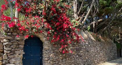 Magnolias Jardin & Boutique Suites