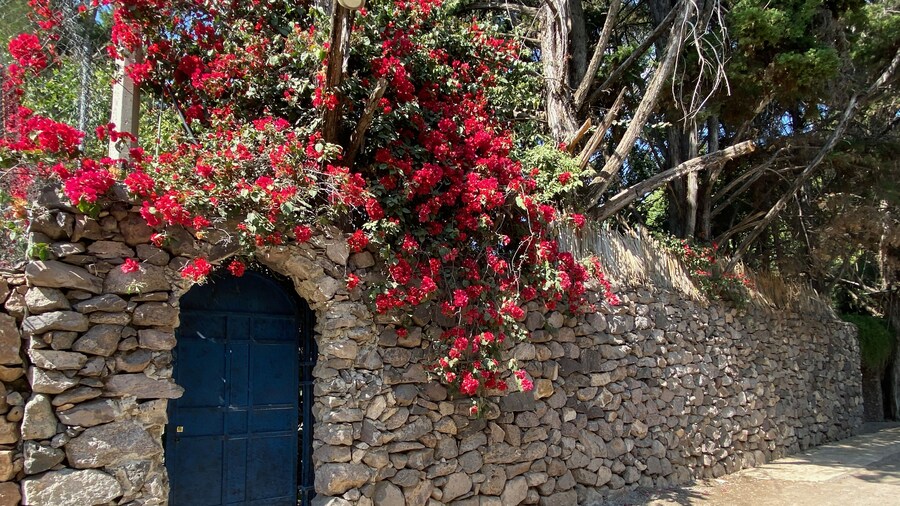 Magnolias Jardin & Boutique Suites