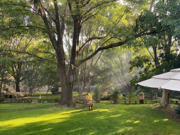 A lush garden with large trees, a picnic table, and a white umbrella.