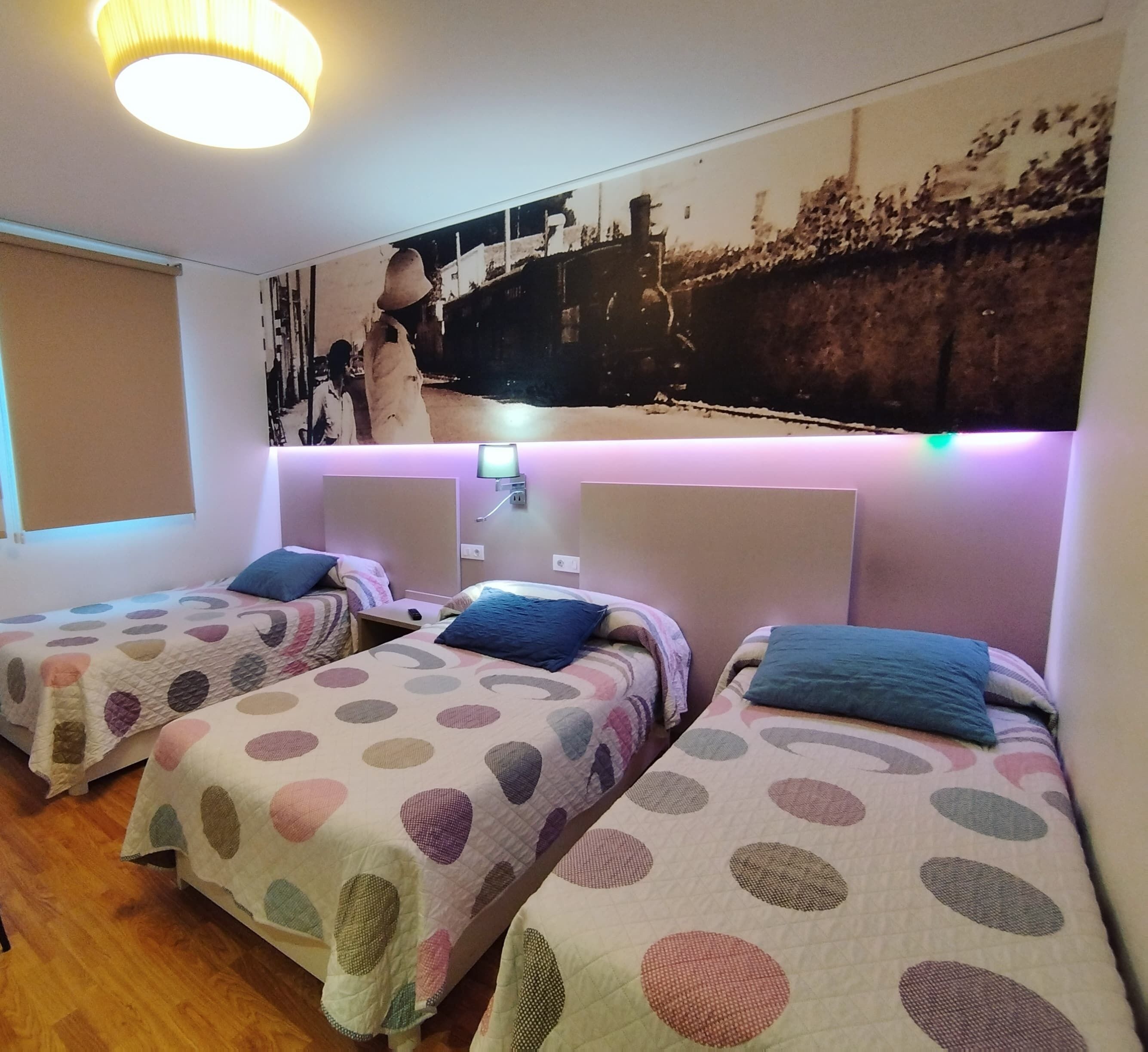 Premium bedding, individually decorated, blackout drapes, free WiFi