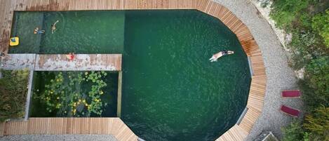 An aerial view of a swimming pool with a wooden deck, a small water garden, and a few people swimming.