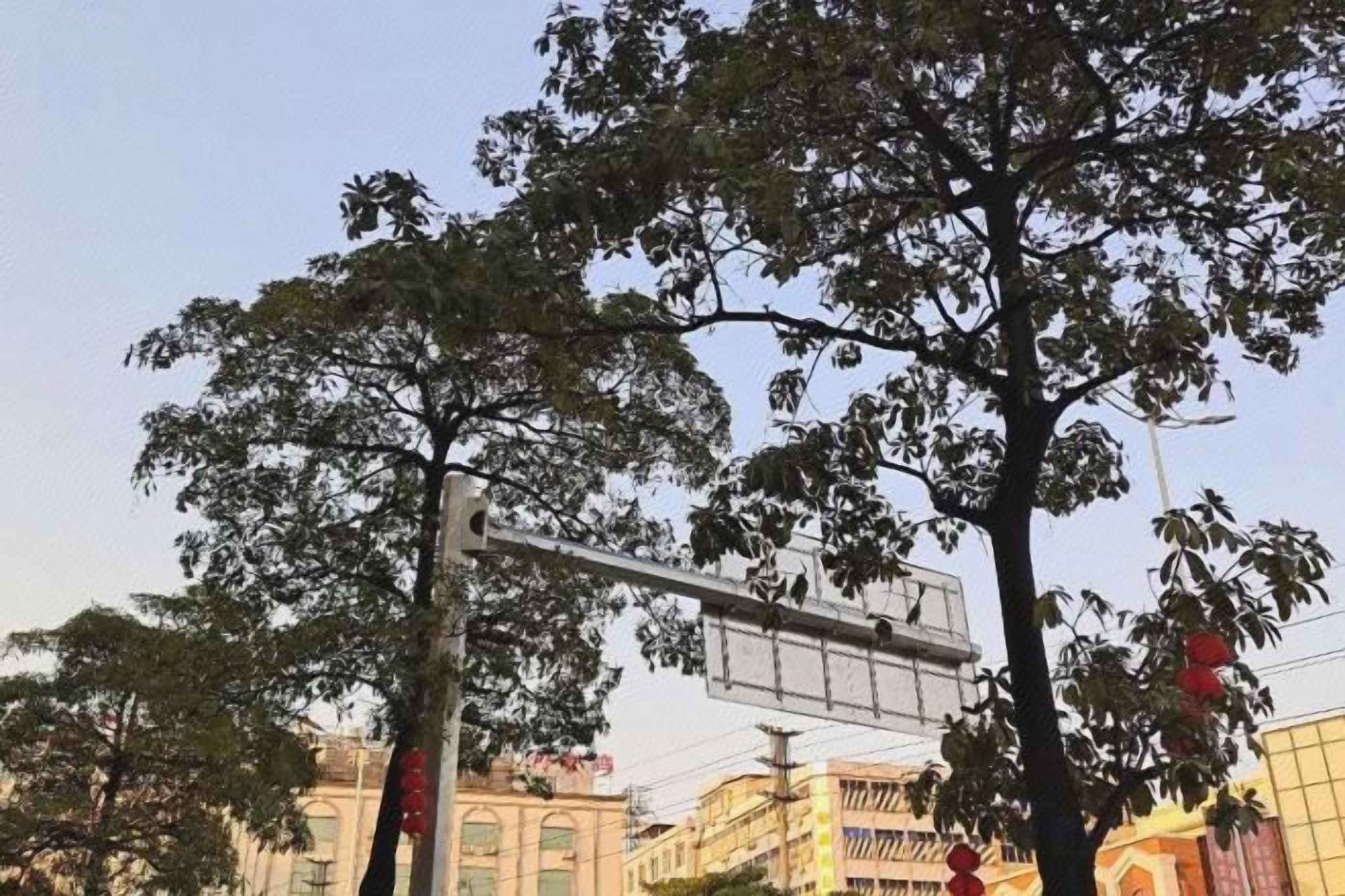 A street scene with a pedestrian crossing signal and trees.