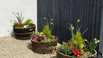 Cabin | Property grounds