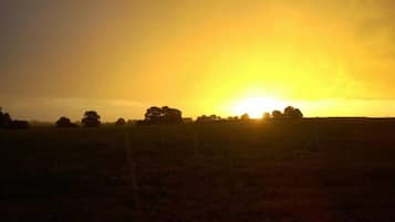 A sunset over a field with trees silhouetted against the sky.
