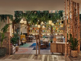 Un interior acogedor y bien iluminado, con muebles de madera, plantas colgantes y estantes llenos de botellas de colores.