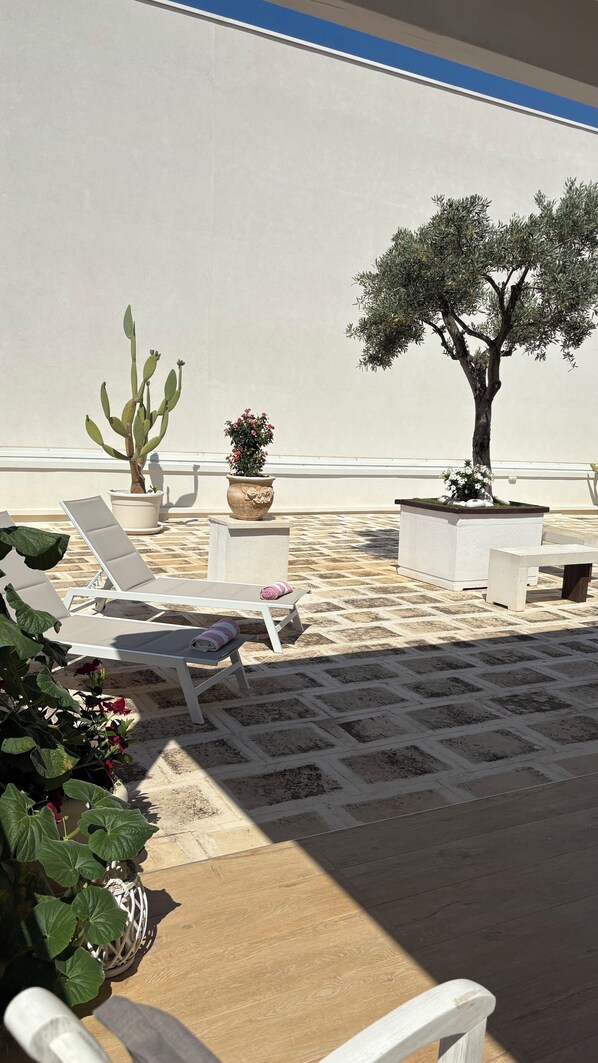 A sunlit outdoor seating area with lounge chairs, a potted cactus, and a bonsai tree.