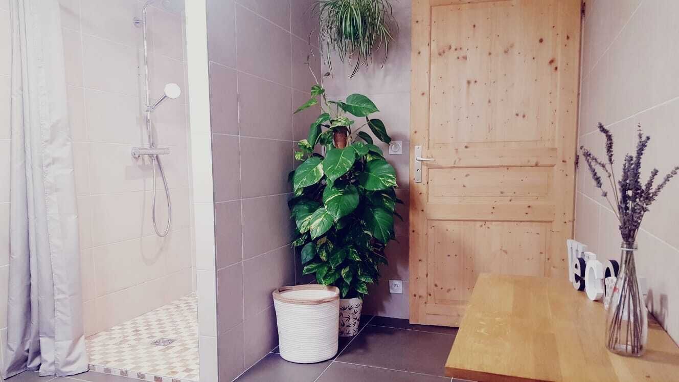 Dusche, Haartrockner, Handtücher, Toilettenpapier