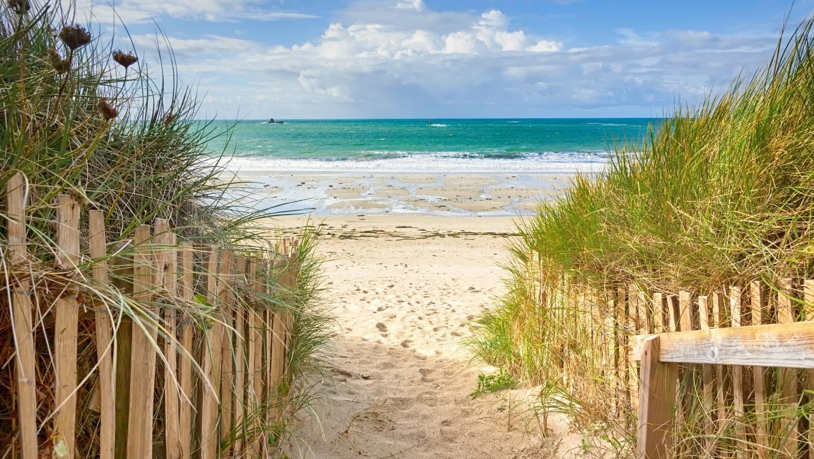 Plage, chaises longues