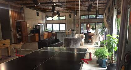Concrete Loft in the Redwoods