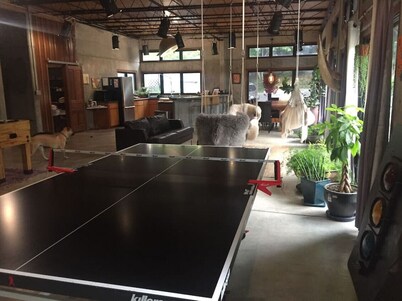 Concrete Loft in the Redwoods
