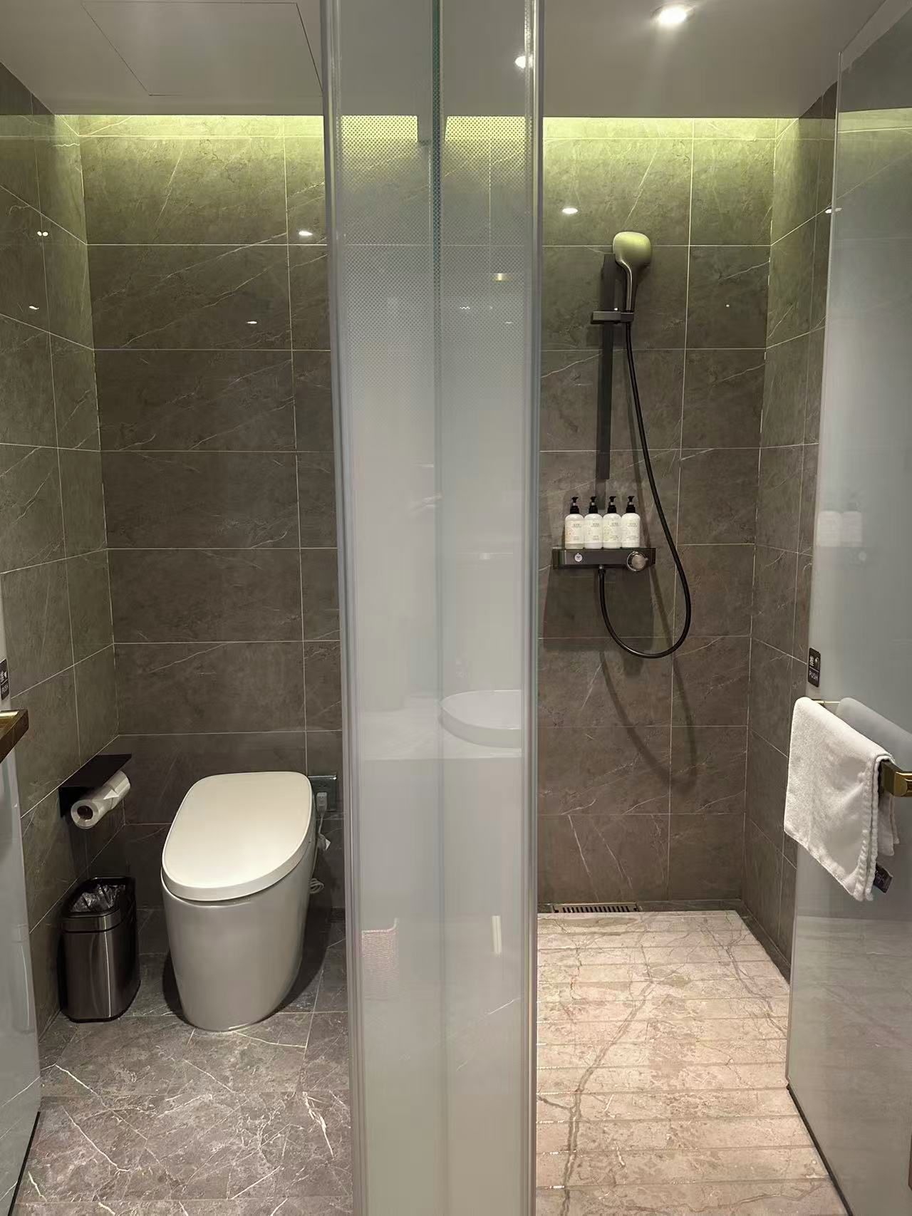 A modern bathroom with a glass partition, a toilet, a shower area, and a towel rack.