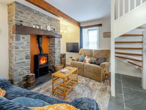 TV, fireplace - 2 bedroom accommodation in Llanddewi Brefi, near Tregaron (Llanddewi Brefi, near Tregaron)