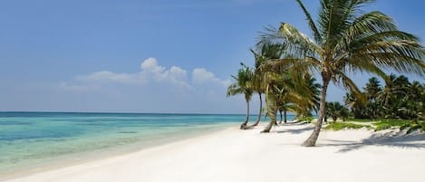 På stranden