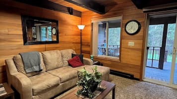 TV, fireplace, DVD player