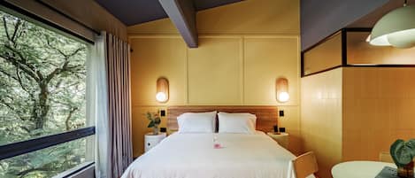 Appartement supérieur, 1 trÚs grand lit, cuisine | 1 chambre, literie de qualité, couette en duvet
