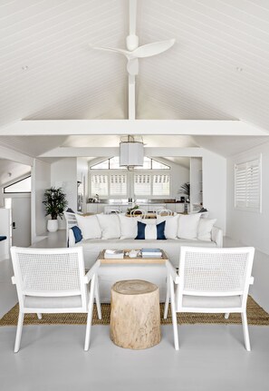 TV, fireplace, books