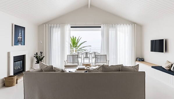 TV, fireplace, books