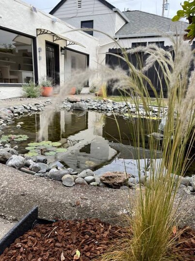 Henderson House and Frog Pond