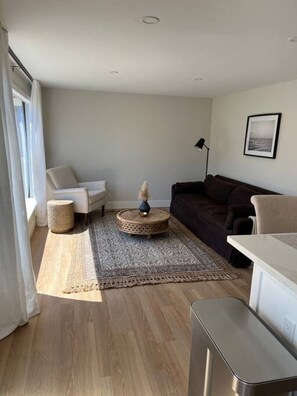 TV, stereo - Henderson House and Frog Pond (Eureka)