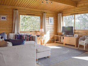 Een gezellig interieur van een chalet met een bank, televisie en houten meubels.