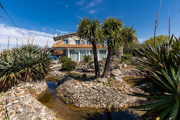 A house with a stone facade, a tiled roof, and a garden with a pond and tropical plants.